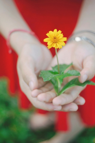 tarif soin exploration